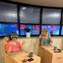 올리브안마원 이미지