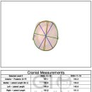 지오크리에이티브 대전충청지사 | 육아일상기록_D+9개월