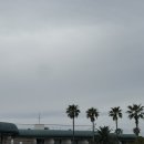 [제주숙소] 그랜드 조선 제주_ 디럭스 가든뷰 킹룸 (조식후기, 수영장, 임산부 투숙)