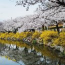 금오산길 이미지