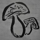 돈필농장 이미지