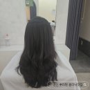 뿌리네 애견샵 | [경산 뿌리펌 맛집 / 시지 미용실 추천] 오니브헤어 정평점