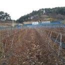 기운농장 이미지