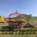 나들정원 이미지