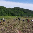 쌍백면사무소 이미지
