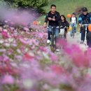 월하4리마을회관 이미지