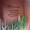 성수맛집 고우성수 스테이크, 삼겹살 솥밥 후기 및 웨이팅, 주차 팁