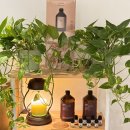 원미스파랜드 | 부천헤드스파 스파바움 두피스파로 하루 피로가 싹 풀고 온 후기