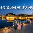 싸움의고수경주 | [지금 꼭 가야 할 경주 여행] 쉿! 남들 다 알기 전에 떠나는 타이밍 전략 (APEC 호재 & 야경 꿀팁)