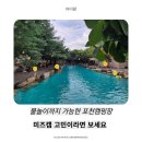 꿈을 그린 손끝전 | [아이랑 캠핑] 포천 꿈에그린캠핑장 미즈캠 단체캠 리얼후기 (경기도캠핑장)