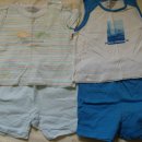 파코라반베이비 이미지