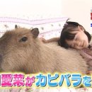 연하남 | 16살 연하남에게 번호따인 후기 남겨봐요