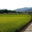 남문주차장민박 이미지