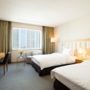 소노캄 고양 이미지