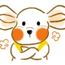 요크독애견샵 이미지