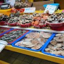 수산시장 이미지