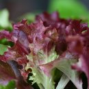 행구축산 이미지