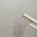 싱싱회센타 이미지