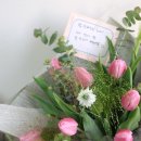 밥잘해주는 누나 이미지