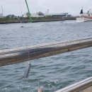 청호동 방파제 이미지