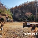 자작농장 이미지