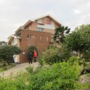 아지랑냉이랑 이미지