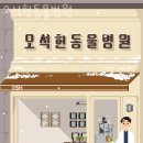오석헌동물병원 네이버블로그