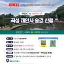 경남테마여행사 네이버블로그