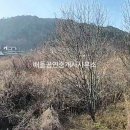 상사면 행정복지센터 티스토리