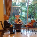 호텔테디밸리 이미지