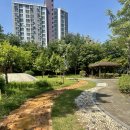 영덕레스피아 농구장 이미지