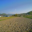 오대붕 정려 이미지