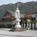 동림사 이미지