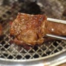 메카정육 | [안산 초지역 맛집] 마블링 예술 와규 소고기부터 돼지고기까지! 907육식당 단체 외식 추천