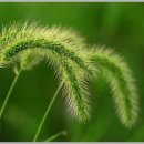 화랑대역 이미지