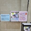 조치원체육공원(테니스장) 이미지