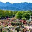 곡성-252 이미지