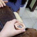 두암동물병원 이미지