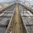 최용환농장 이미지