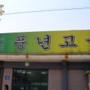 풍년오리 이미지