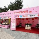 엔제리너스충남