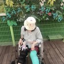 이음채한의원 | 서울 교통사고 입원 수술 후 2차 재활병원 찾기 간병인가능한곳