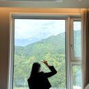 당근탁구클럽 | 강원도 정선 리조트 추천 '파크로쉬' 두타산뷰 숙암룸 킹배드 후기 (ft. 저렴하게 예약하는 방법 꿀팁)