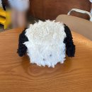 구수 | 대구 동구 신암동 신상 빵집, 베이커리 구수 후기