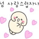 솔라베어스클럽