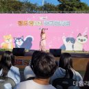 2023 청도 펫티켓 문화콘서트 이미지