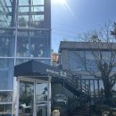 정원산책 카페 | [청주] 청주 대형카페 베이커리카페 공간 내돈내산 후기 | 정원 산책 가능한 힐링카페🌿