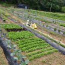 둔덕농장3 이미지