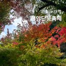 철암초등학교 | 2024 태백 철암 단풍 축제 방문 후기