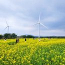 쉬리목장 이미지